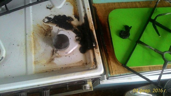 Помогите советом | Пикабу