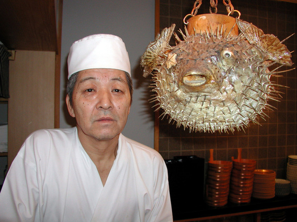 Рыба фугу: великая и ужасная. Рыба фугу, Япония, Длиннопост