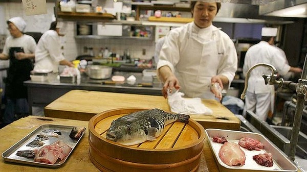 Рыба фугу: великая и ужасная. Рыба фугу, Япония, Длиннопост