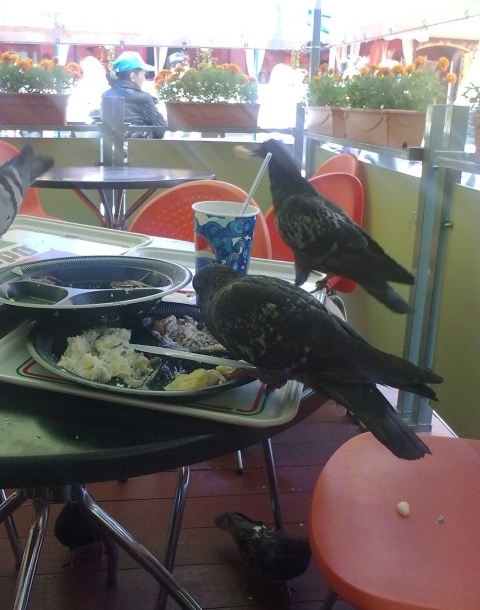 Парни, налетайте!