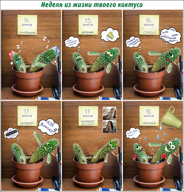 ������� �������� ������ ������ � ��� ����������