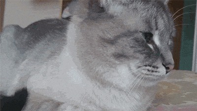 ..