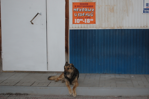 ������� �������