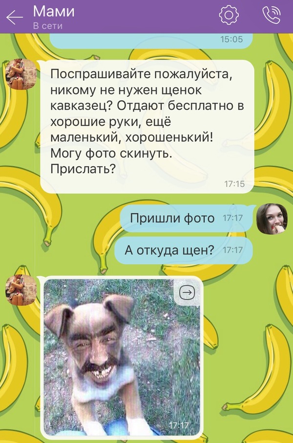 �� ���� ����������!