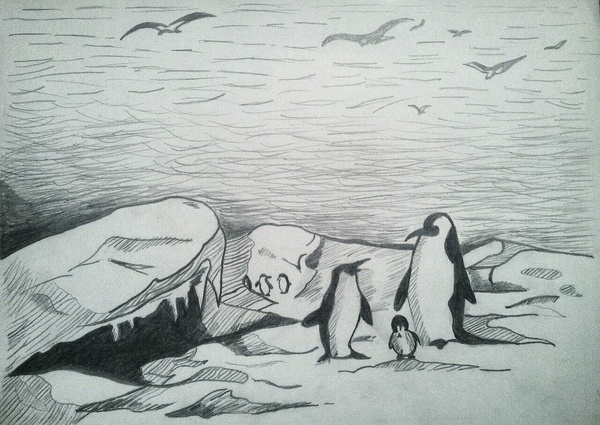 Penguins in Antarctica - My, Drawing, Pencil, Penguins, Antarctica