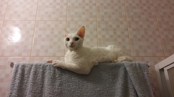 ��� �������? � � ���� ��������� ����