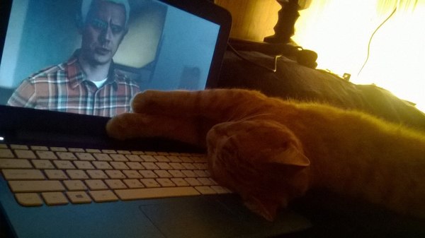 ������-�� � �����