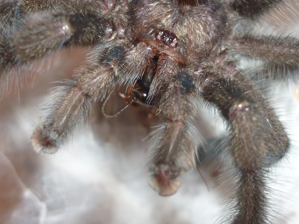 � ������ �� ��, ���....