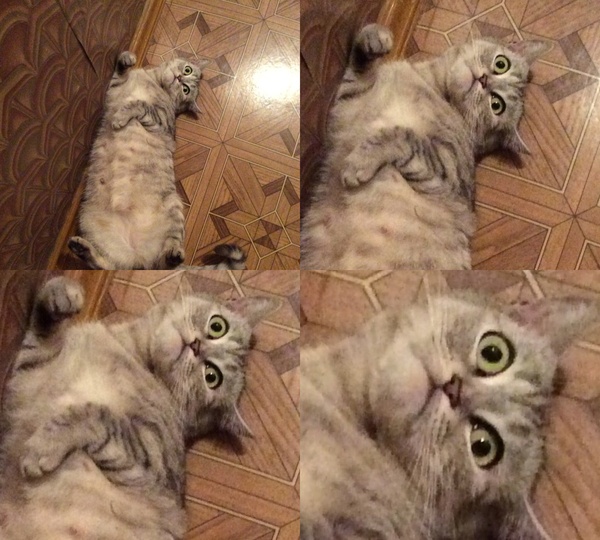 Вы осознаете, что вам через неделю рожать?