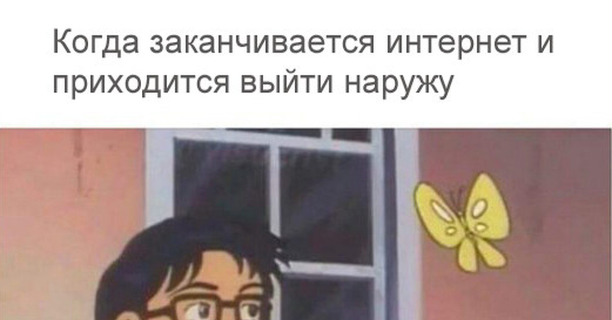 Шкода что за птица