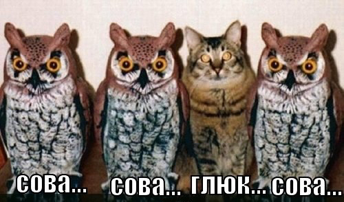 ��� �����?
