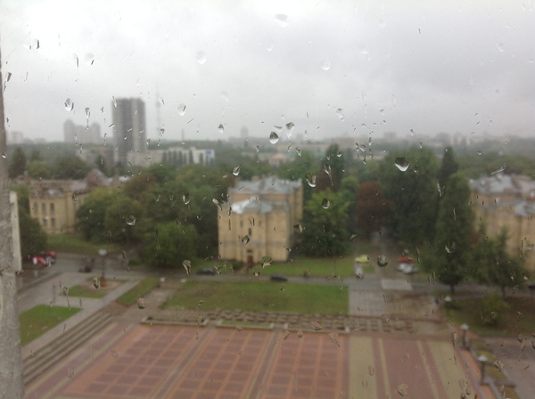 Немного тлена