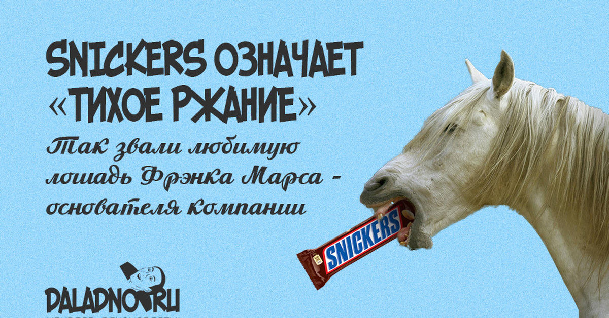 Видео жрешь как лошадь. Лошадь Сникерс. Сникерс в честь лошади. Snickers лошадь. Батончик Сникерс в честь лошади.