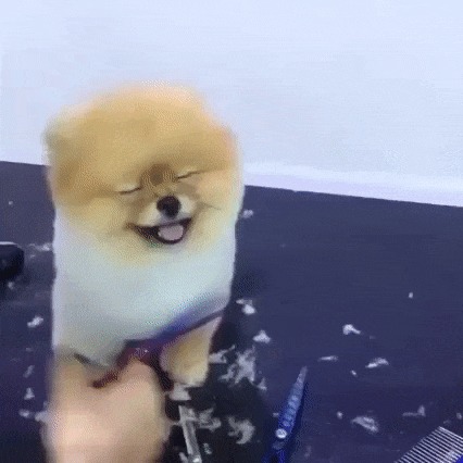  ..