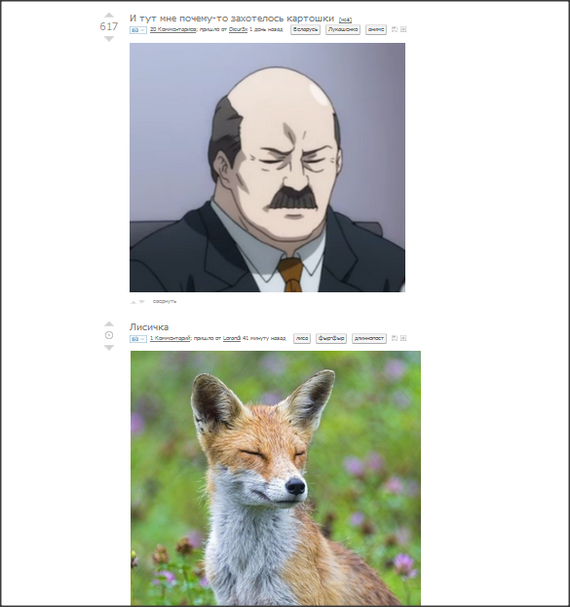 ����������?