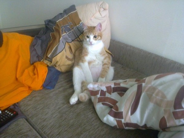 �������� ��������� �����!!