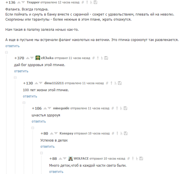 Дай бог счастья птичке!