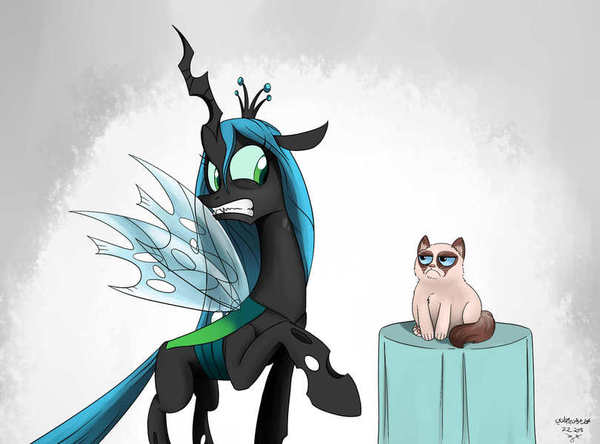 Ты сдохнешь от голода - Грэмпи, Grumpy Cat, Queen Chrysalis, My Little Pony