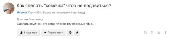 То неловкое чувство, когда работаешь копирайтером и ищешь информацию для написания статьи о самых крупных хомяках мира, а находишь это... - NSFW, Моё, Внезапно, Хомяк, Работа