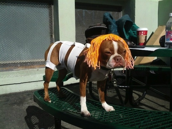 �������������