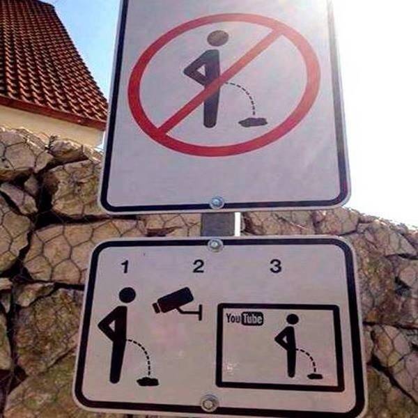 ������������ ����