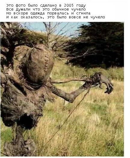 � ����� ������