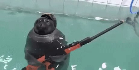    ?