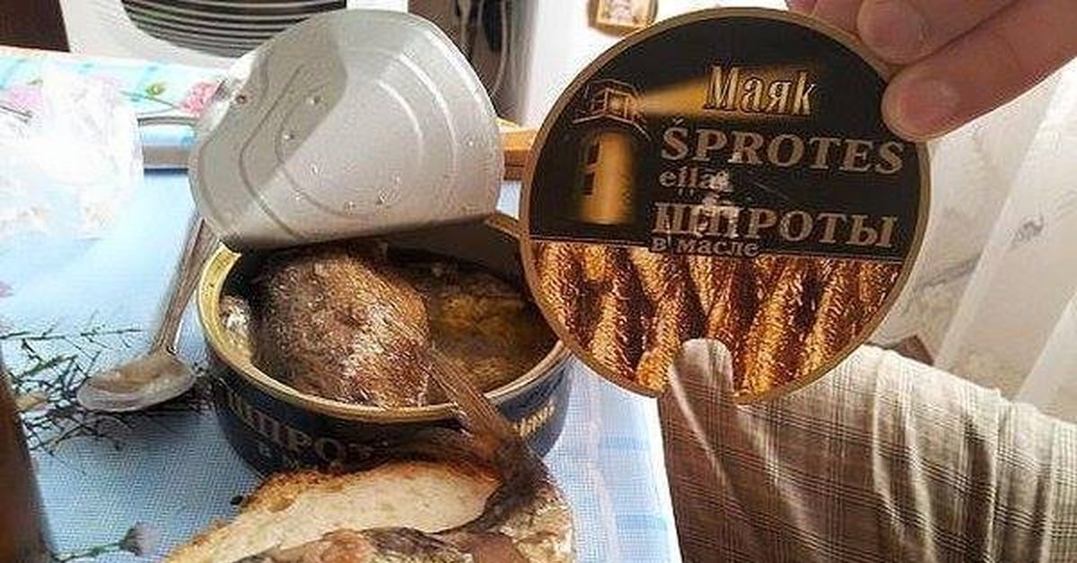 Прикольные картинки шпрот, сделать открытку любимой