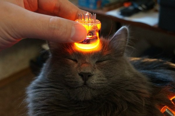 Пикабу Олдфаги Лампово Пикабу, Олдфаги, Ламповость