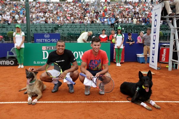      - , Argentina open, Dominic Thiem, Jo-wilfried Tsonga,  
