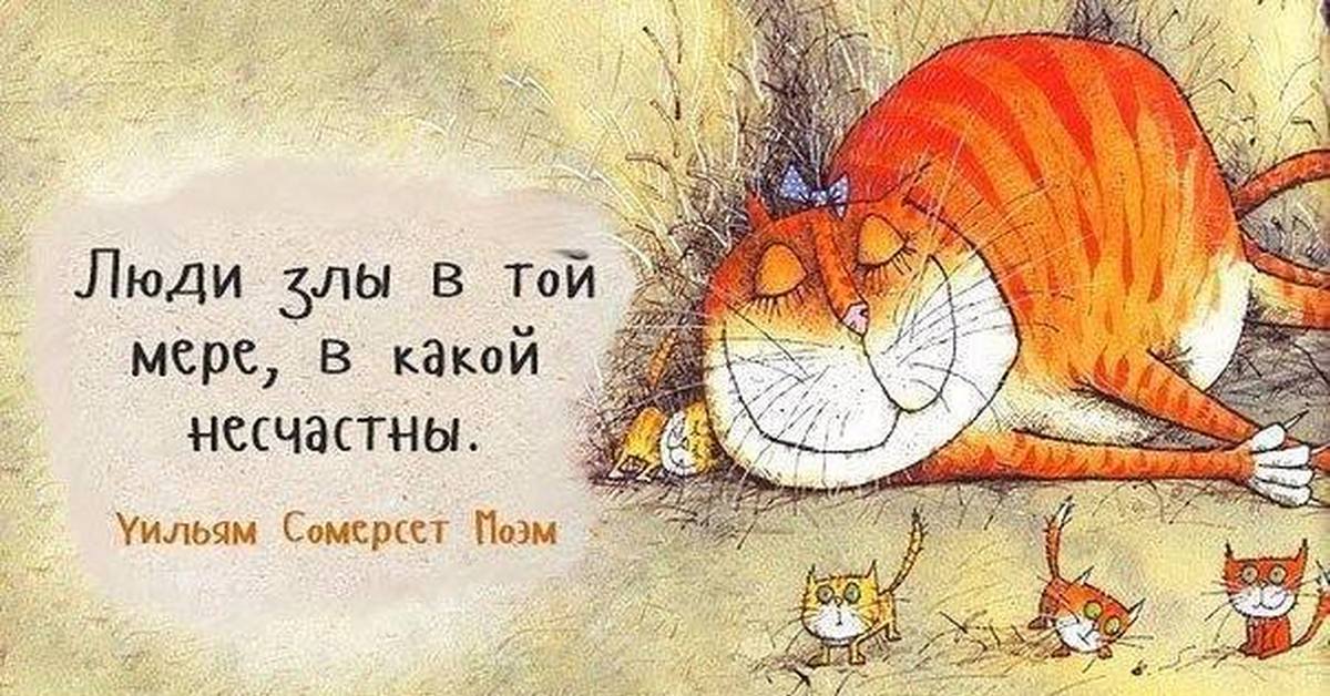 камер средней открытка жизнь коротка живи сегодняшним днем белых