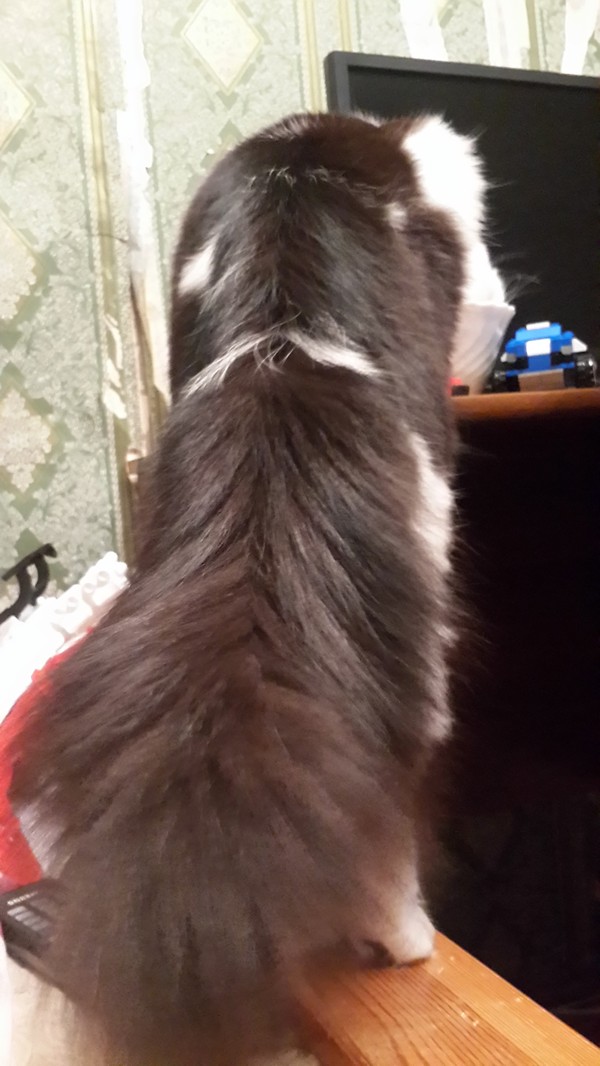 ����� � �������