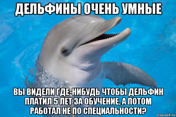 Посмеялся, потом задумался...