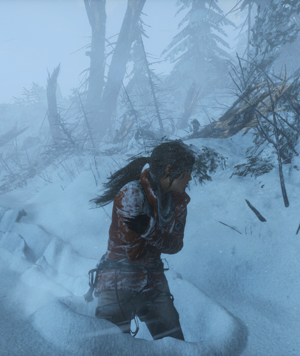 Tomb Raider зимний лес