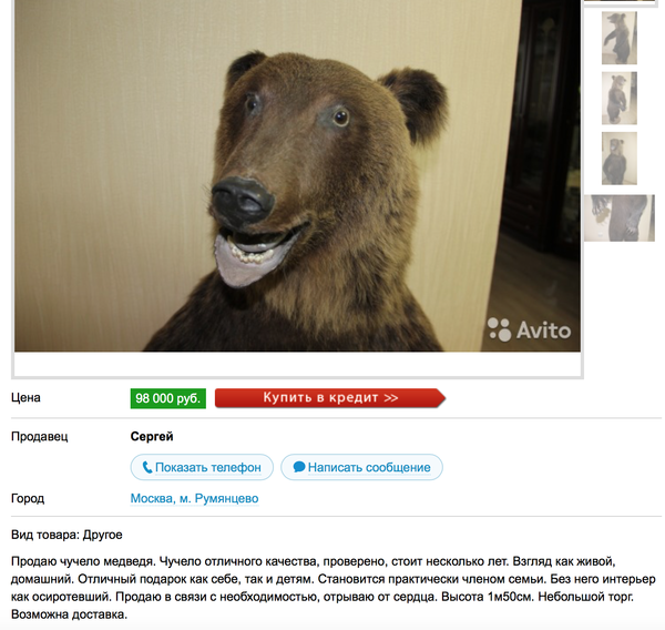 ������ ��� �����, ��������.