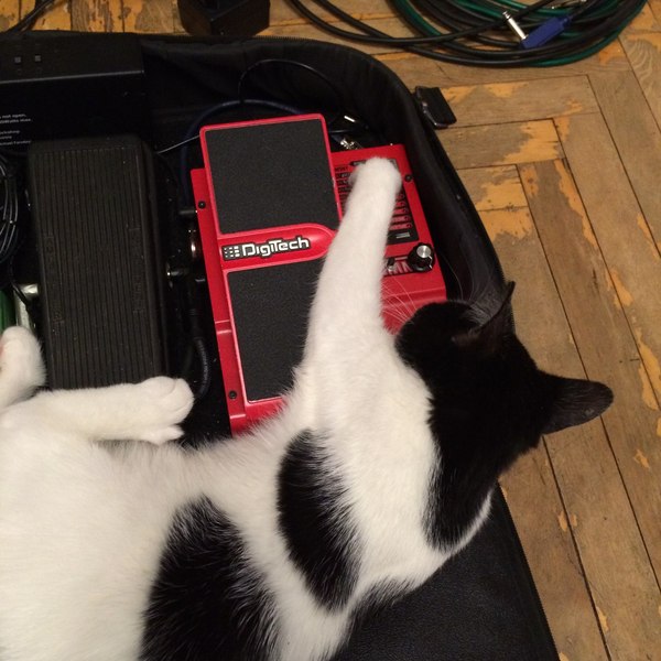 Вот кто мне все настройки сбивает вечерами...