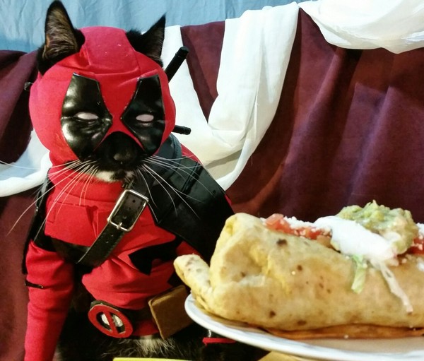       !  (Deadpool) ! , , Snap, 