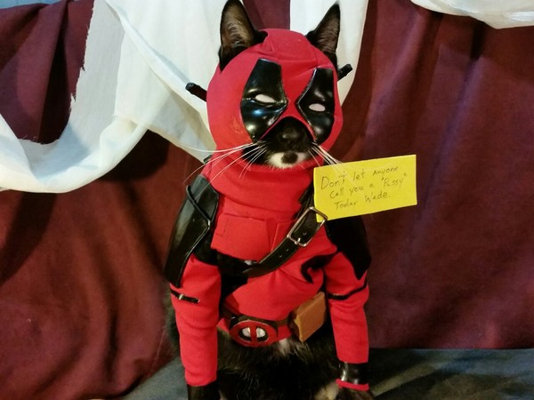       !  (Deadpool) ! , , Snap, 