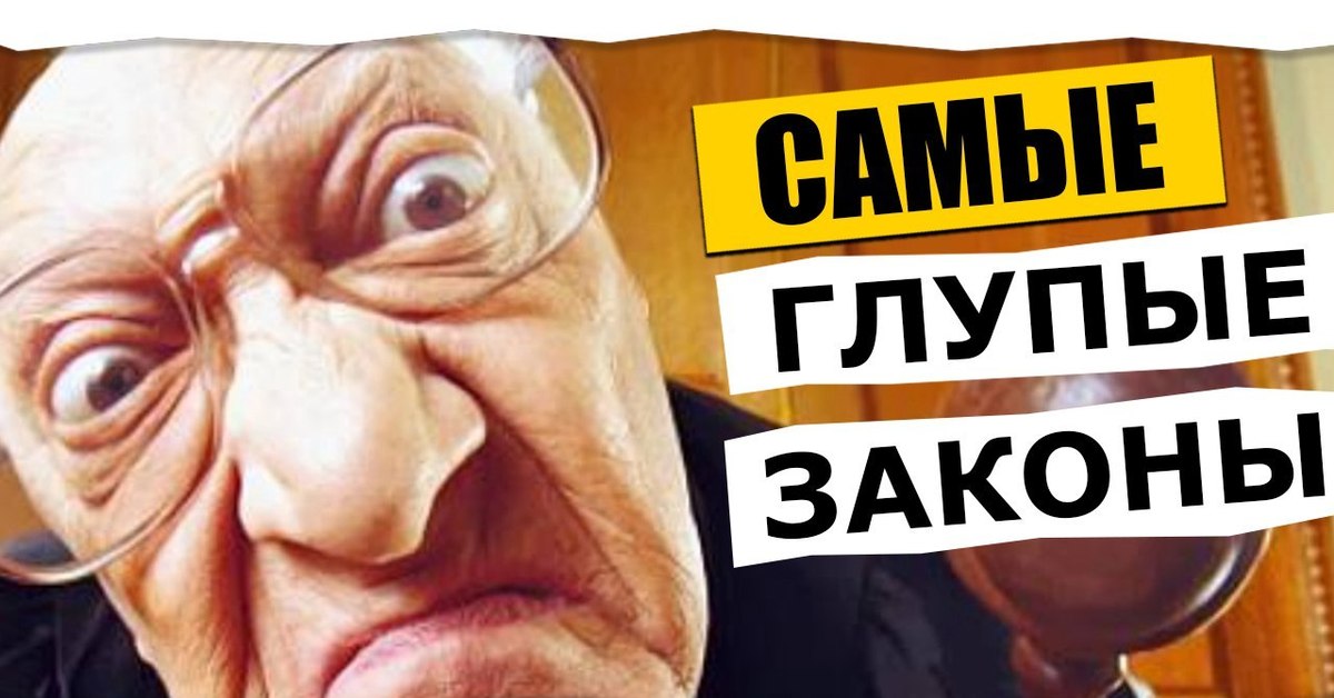 шуточные законы. россияне должны жить хорошо. автор дурацких законов. зачем нужны депутаты. автор дурацких законов.