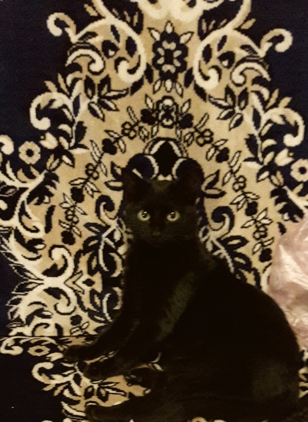       , -, , 