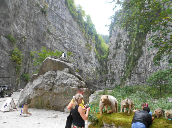 Поездка в Абхазию. Часть 3. Горы. Озеро Рица. Абхазия, Озеро Рица, Отдых, Путешествия, Длиннопост