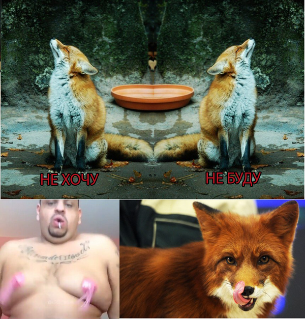      , , 