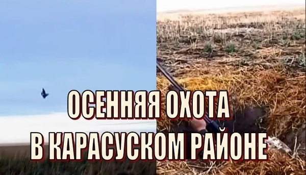 Осенняя охота в Казахстане Охота, Казахстан, Осень, Ружье, Видео