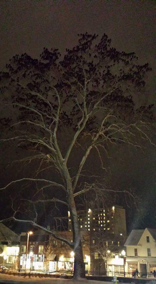 ������ ������������ ����� ������������, � ��� �� ������ �� ������