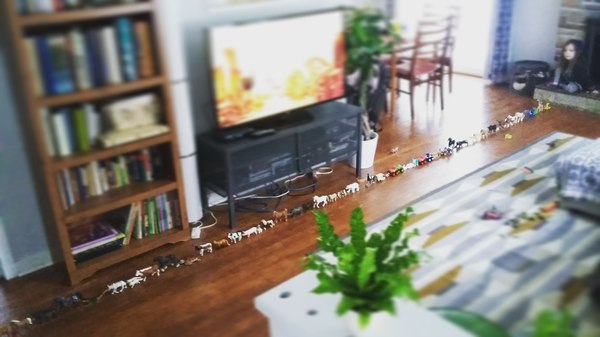 Когда я спросил её..