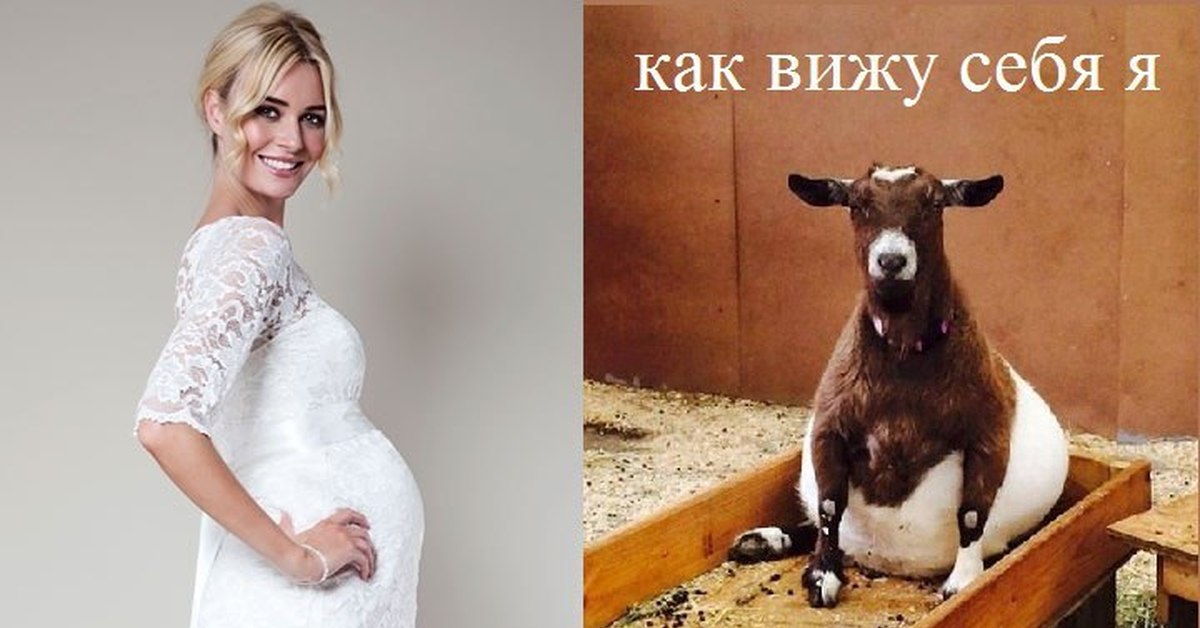 Картинка прикол беременная жена, спасибо чай открытки