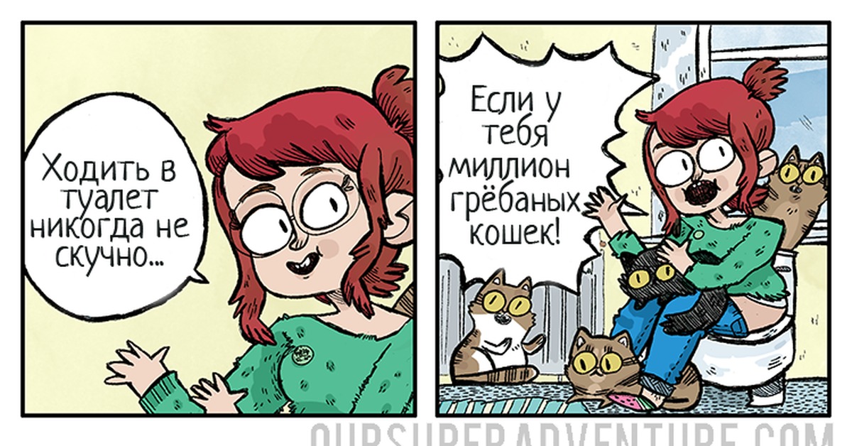 Comics chat. Комикс про кота туалет.