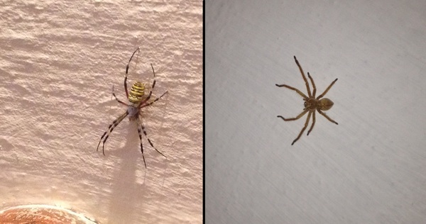 �������� ���������� ������� ���� �������!? ��������, ���!?