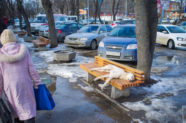 ��������)