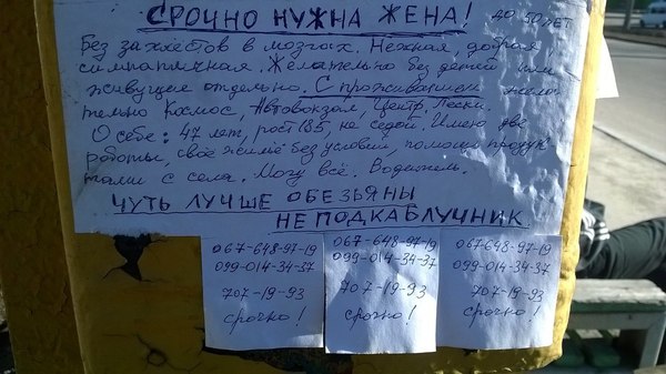 ���������� � 14 �������